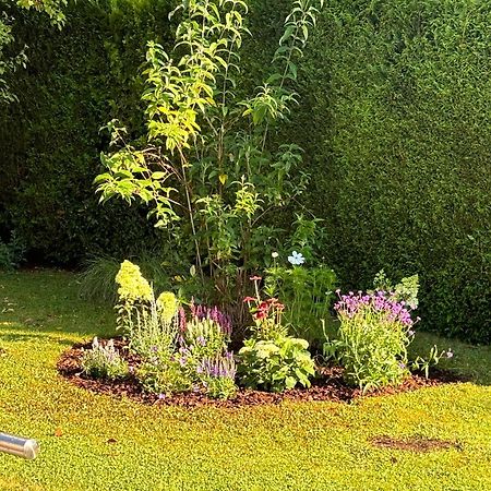 Ferienwohnung Bliestalglueck Oberthal ภายนอก รูปภาพ
