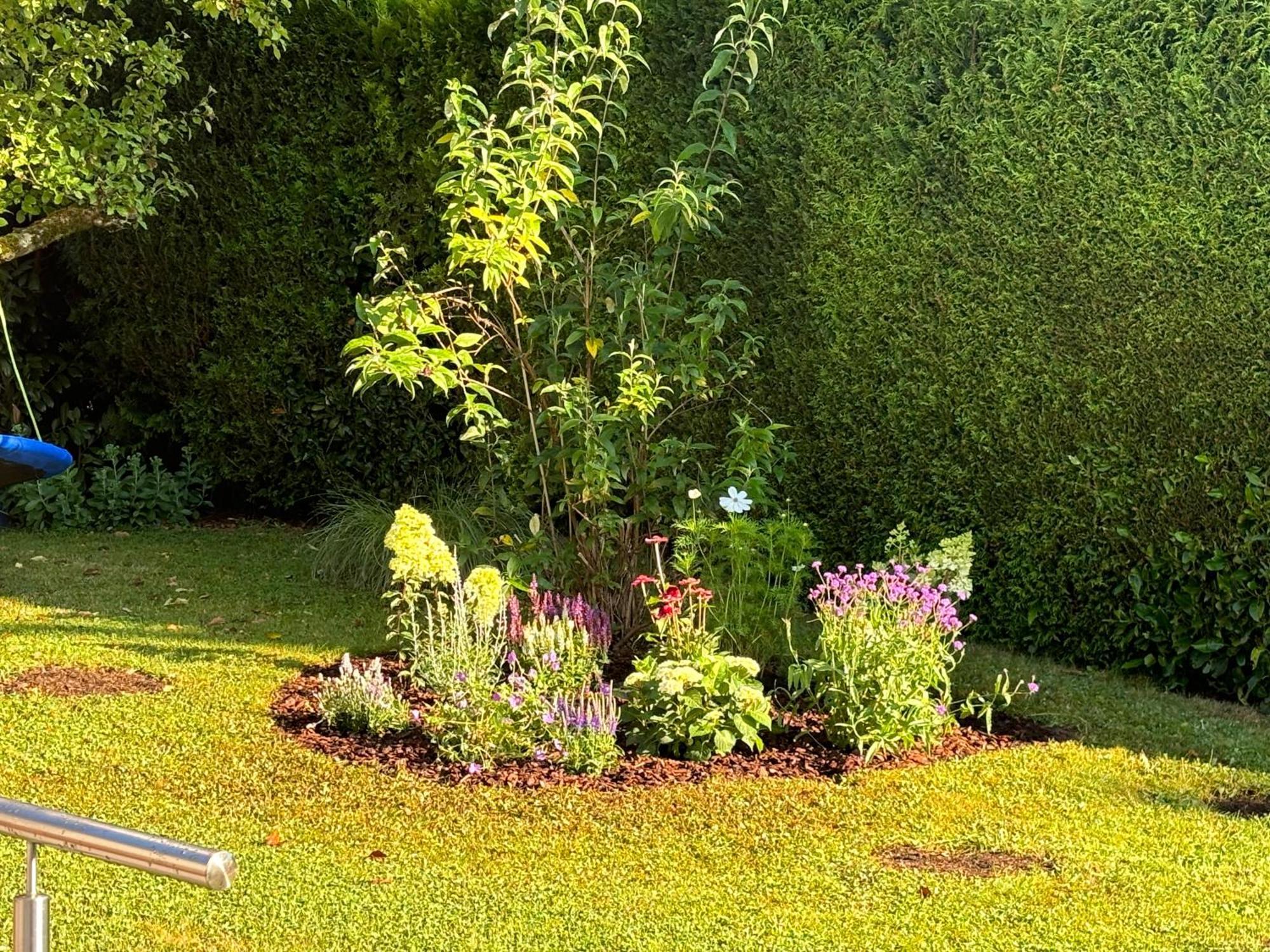 Ferienwohnung Bliestalglueck Oberthal ภายนอก รูปภาพ